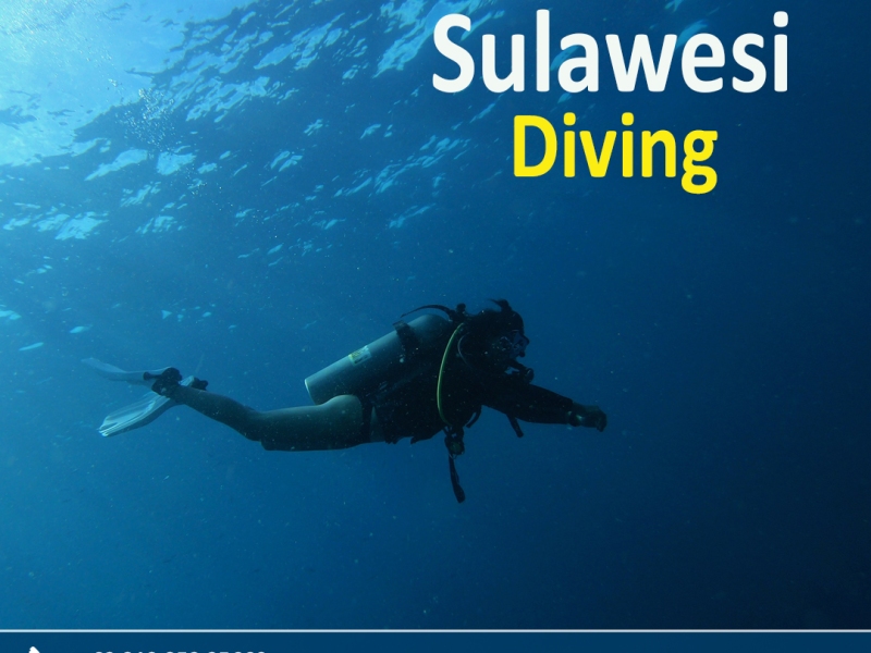 Why You Need Good Diving Resorts For Sulawesi dive