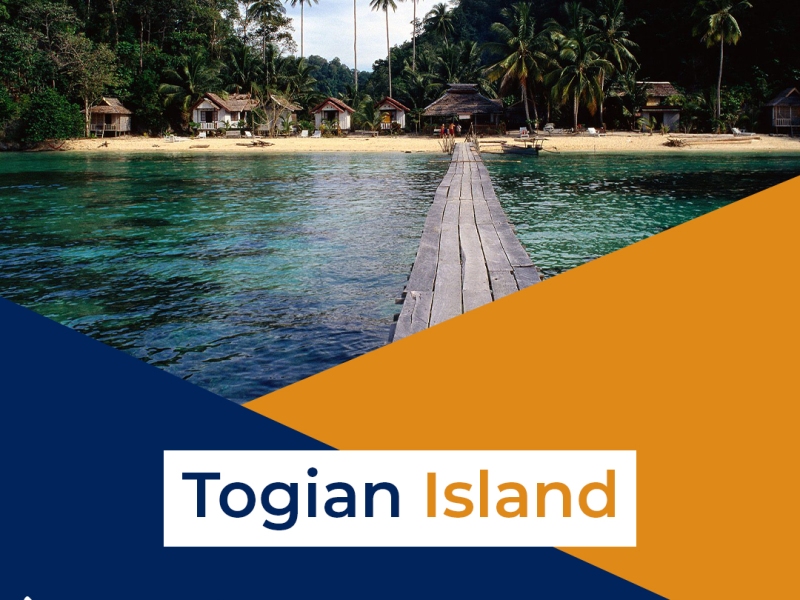 How And Where To Find Better Diving Lessons In Togian Island?